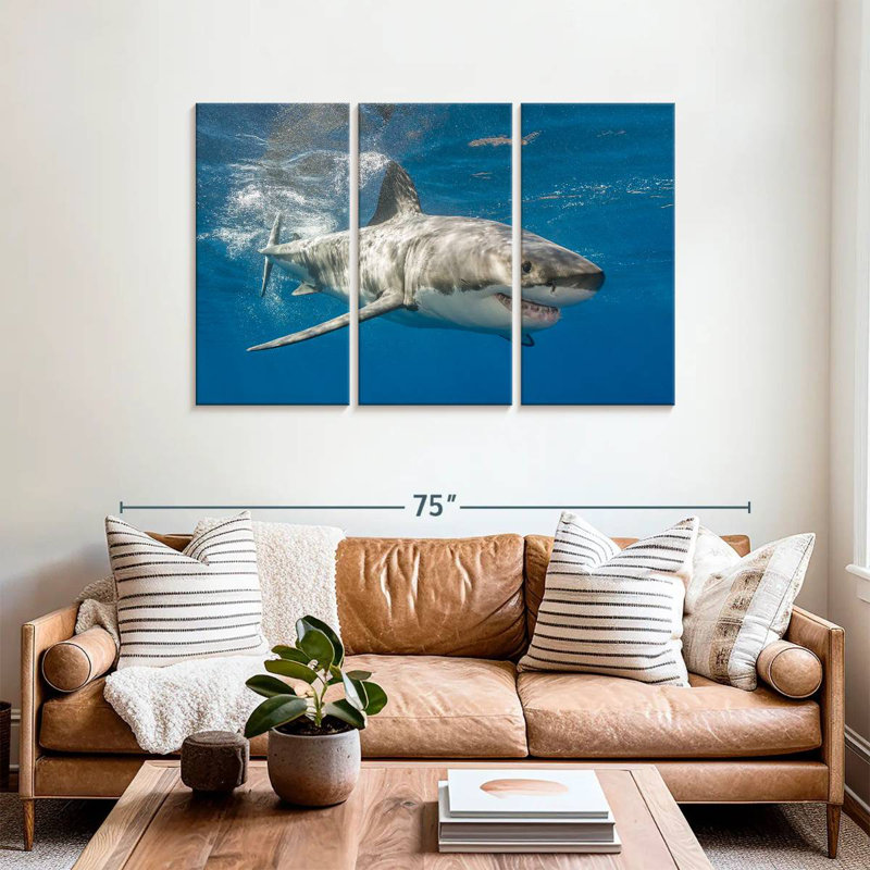 Shark, 36" H x 57" W