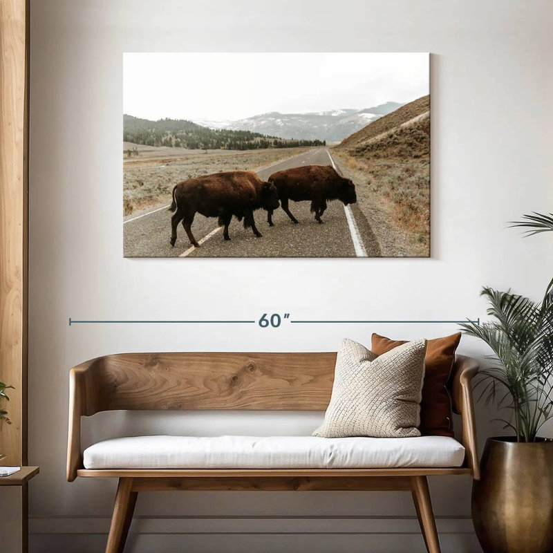 Bison Brampt dans la vallée de Lamar, H 30 po x l 45 po