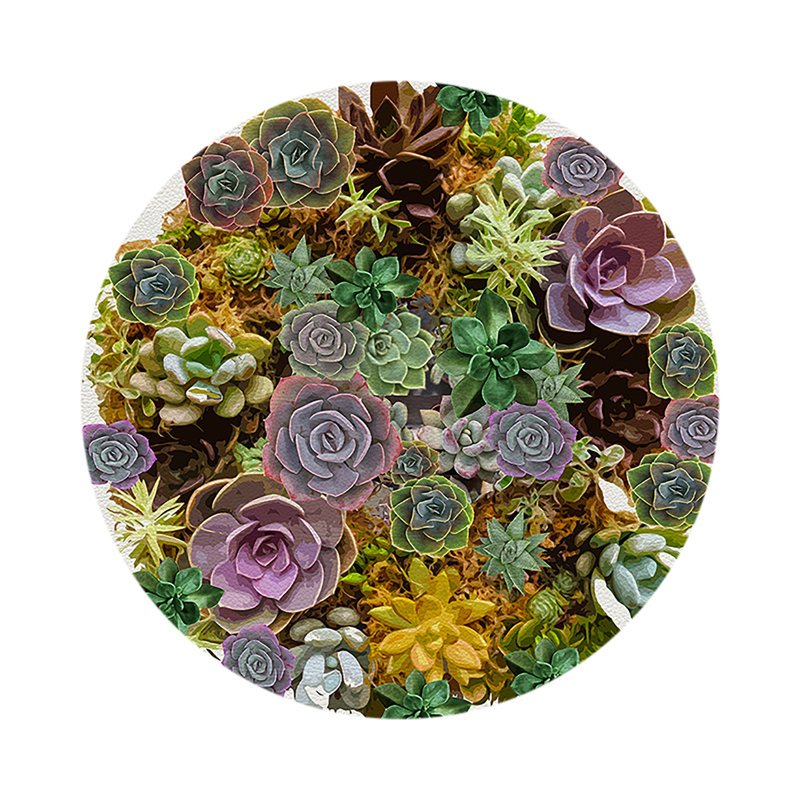 Succulents Vegan Leather Round Pebble Placemat, White