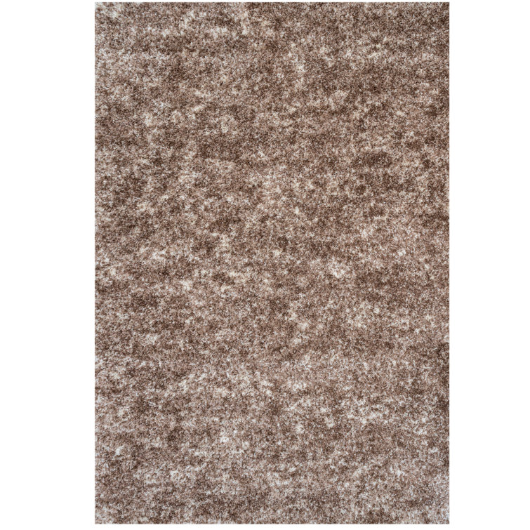 Dinton Shag Area Rug