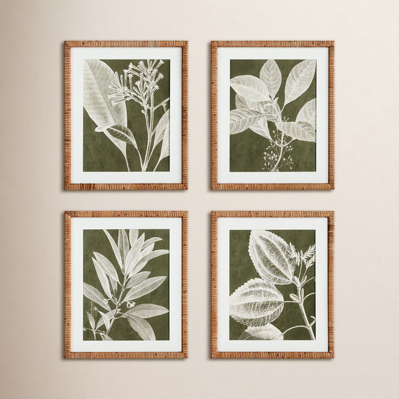 Translucent Stem Prints, Set of 4