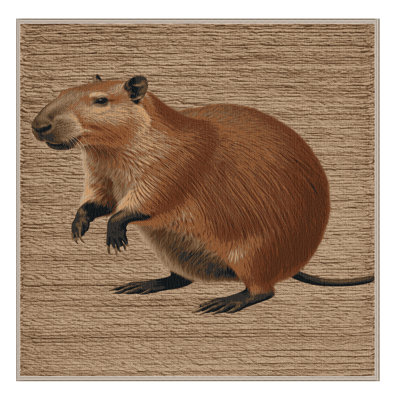  Tapis lavable Capybara
