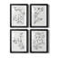 Botanical S croquis I, reproduction encadrée de qualité supérieure - prête à être accrochée-69982563-69982566