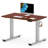 Dojtcho Home Office Adjustable Standing Desk-62270596-113909856