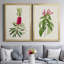 «Pretty Pink Botanicals VII», toile encadrée de qualité supérieure - prête à être accrochée-1760834660-1760834667