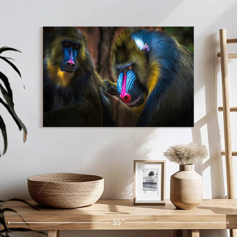 Two Mandrill Monkeys, 32" H x 48" W