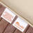 Eldine Sunbrella Outdoor 2'' Dining Chair Cushion