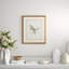 Delicate Birds IV Print