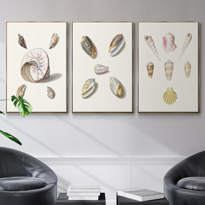 Pastel Knorr Shells I