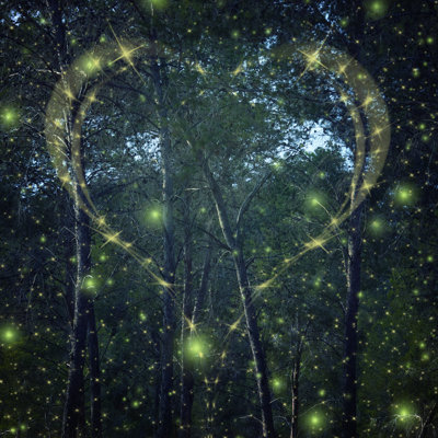 Richardton Firefly Flying In The Night Forest - Wrapped Canvas Print