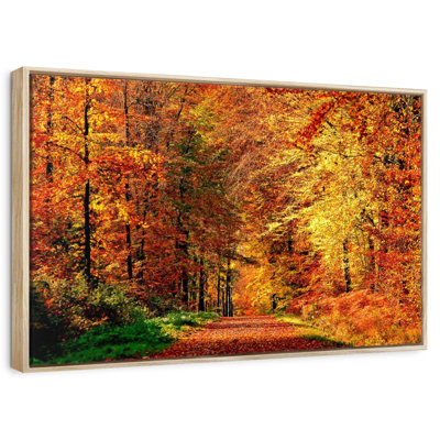 Path To Autumn Forest