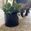 Customer photo 2 of 2