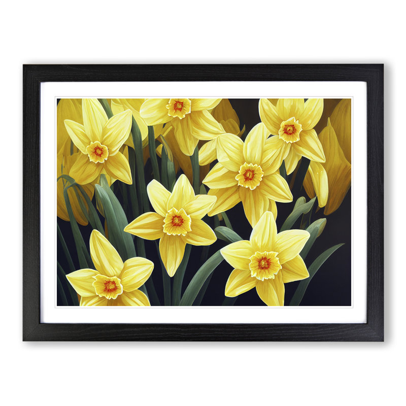 Ultimate Daffodil Flowers - Framed Print, Black, 46cm H x 64cm W x 2cm D
