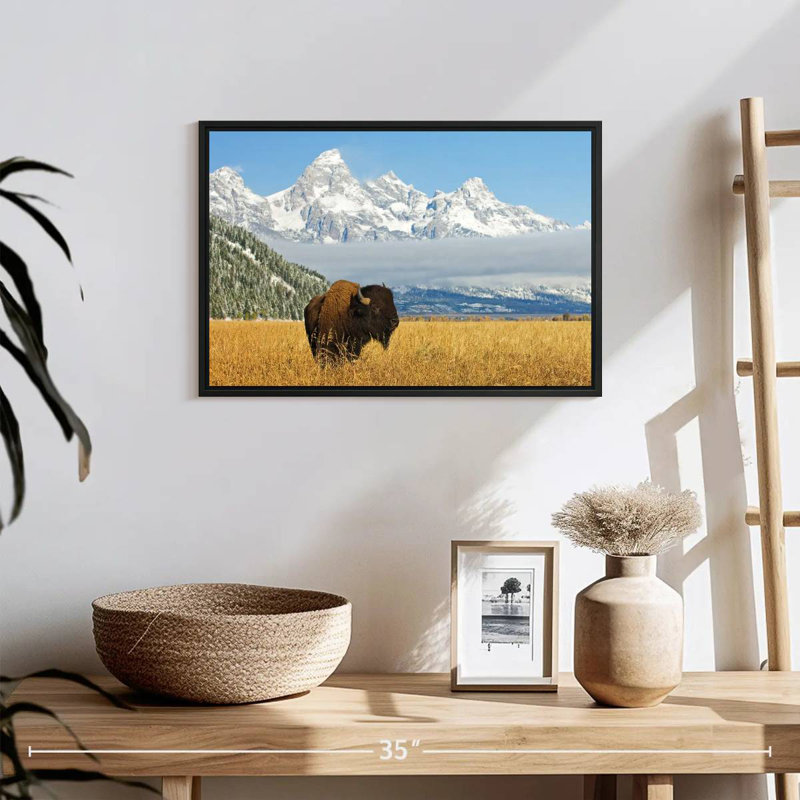 Grand Teton Bison Bull, 19 po x 13 po, Cadre flottant noir