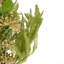 Ensemble de 2 plantes artificielles en fougère-1622998143