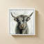 Vache Highland-276928949-276928951