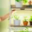 Support pour plante d'intérieur en métal à hauteur de 66,3 po à 4 niveaux avec lumière de croissance