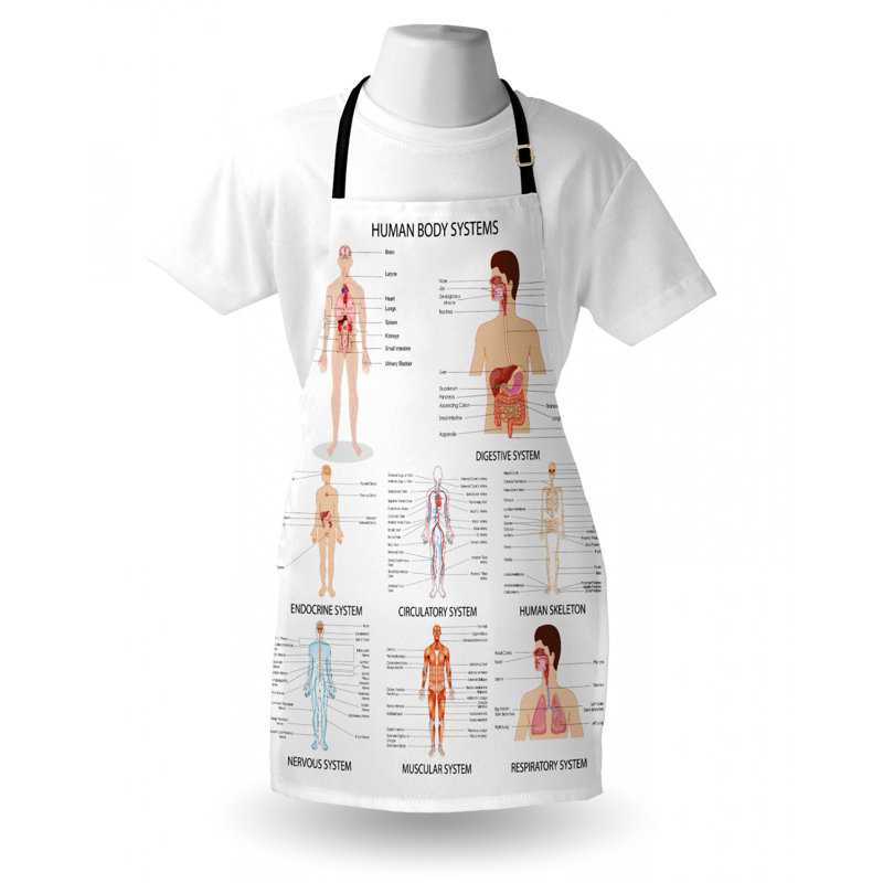 Bib Apron