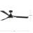 Belen 60'' Ceiling Fan with LED Lights-94228880-94228878