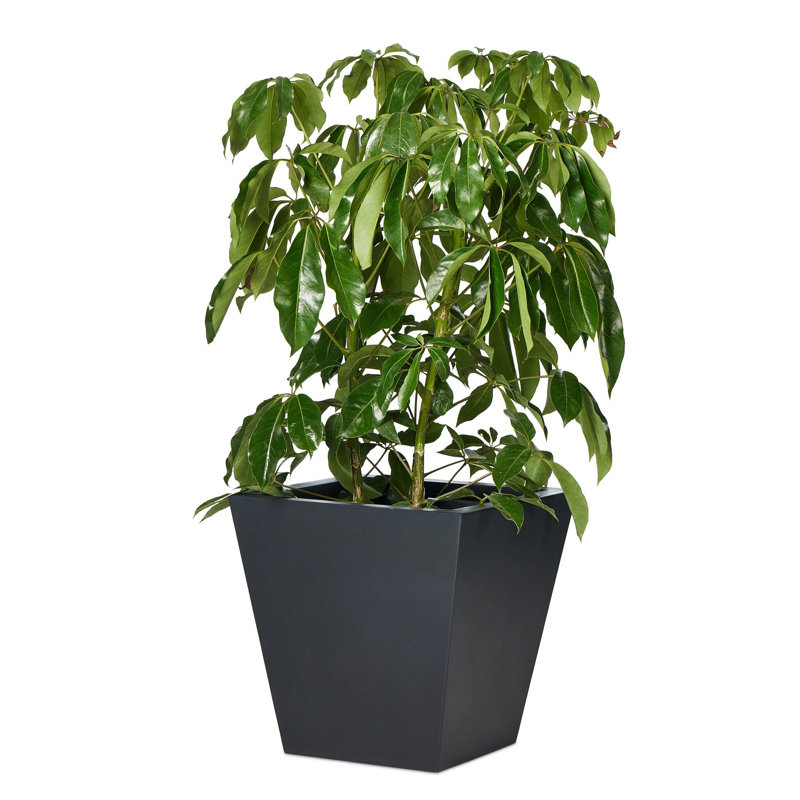 Koto Planter, 22" H x 22" W x 22" D, Black