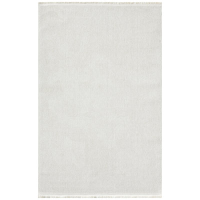 Textured Fringed Area Rug
