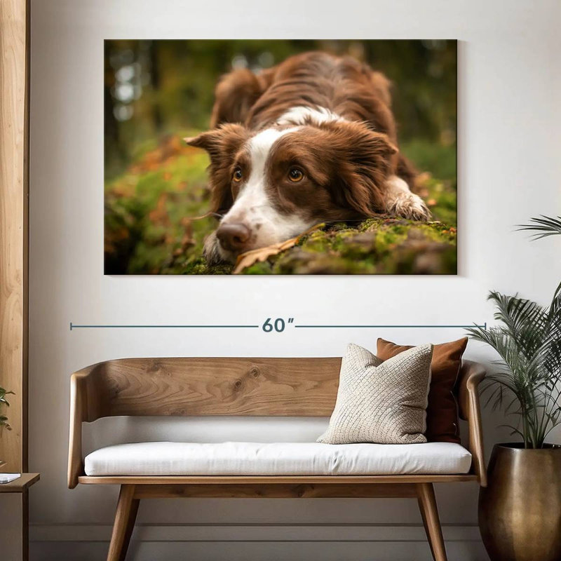 Brampt Lovable Border Collie, 34'' H x 51'' W