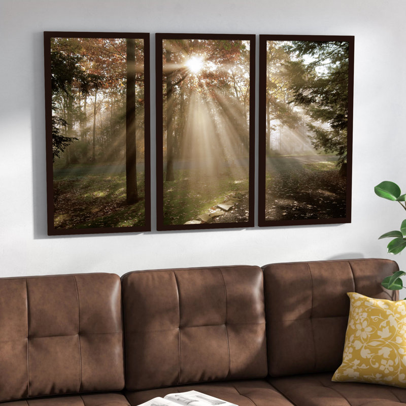 A New Day I - Ensemble de 3 reproductions de photos sur acrylique, H 33,5 po x l 52,5 po x P 1 po