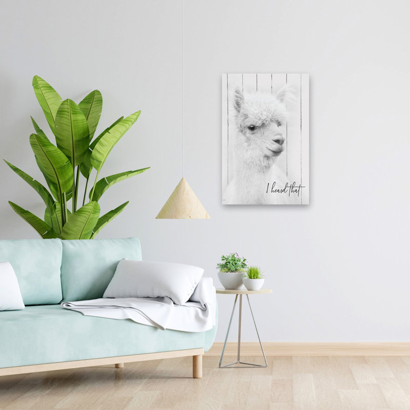 I Heard That - Art de fourrure duveteuse alpaga blanc, H 16 po x l 24 po