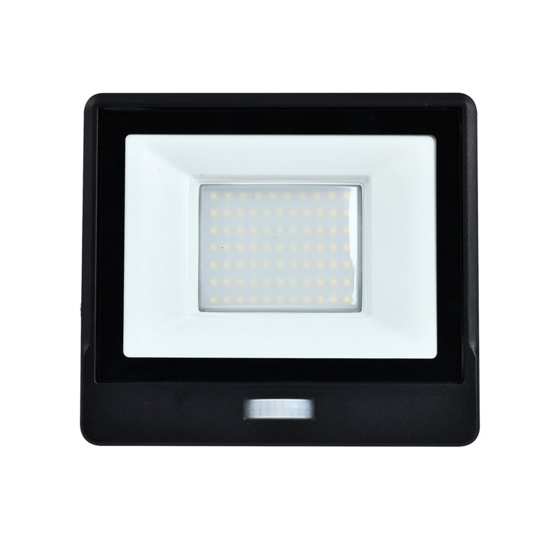 Amie-Lee Floodlight
