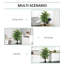 145cm Faux Banyan Tree in Cement Pot