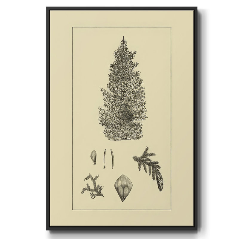 Arbor Study I, Noir, H 25 po x l 17 po x P 1,5 po