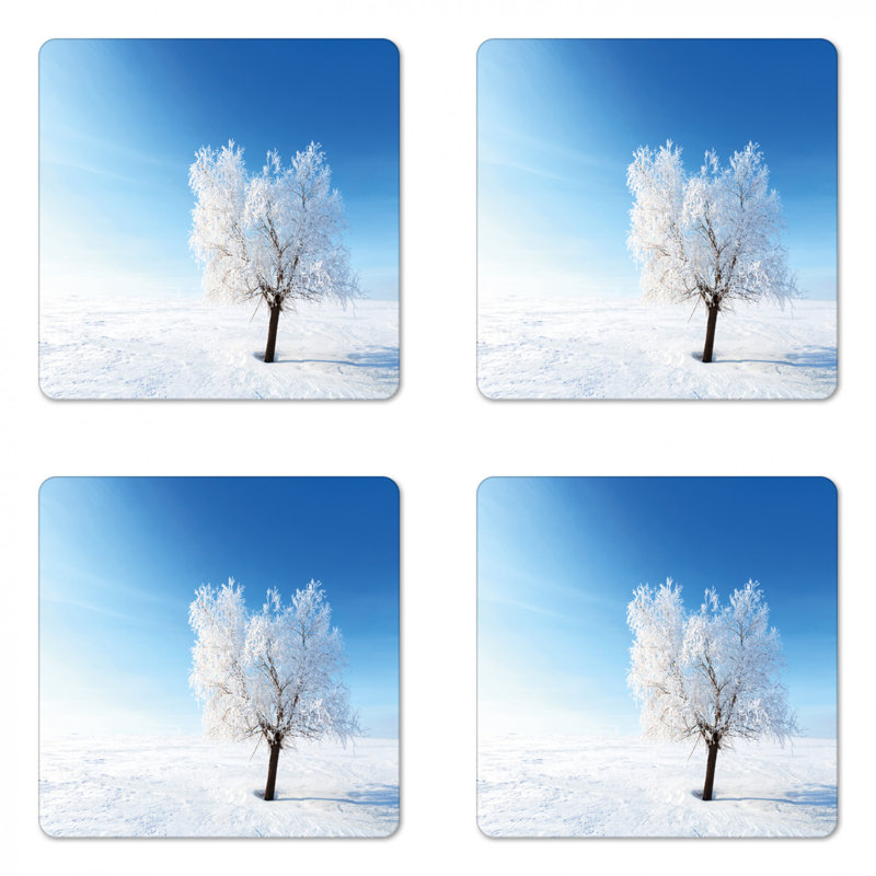 Square 4 Piece Coaster Set