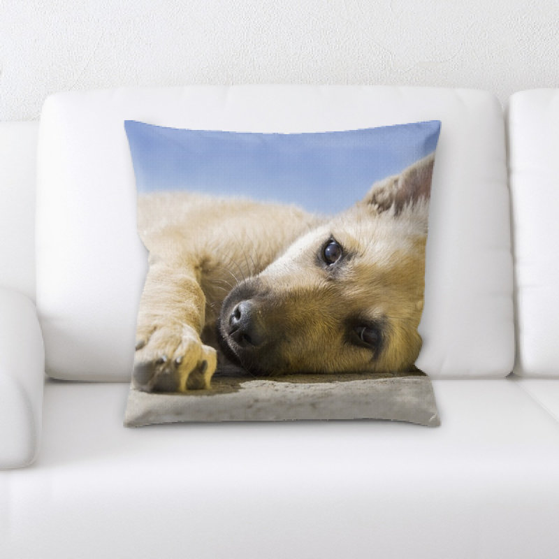 Coussin pour chien