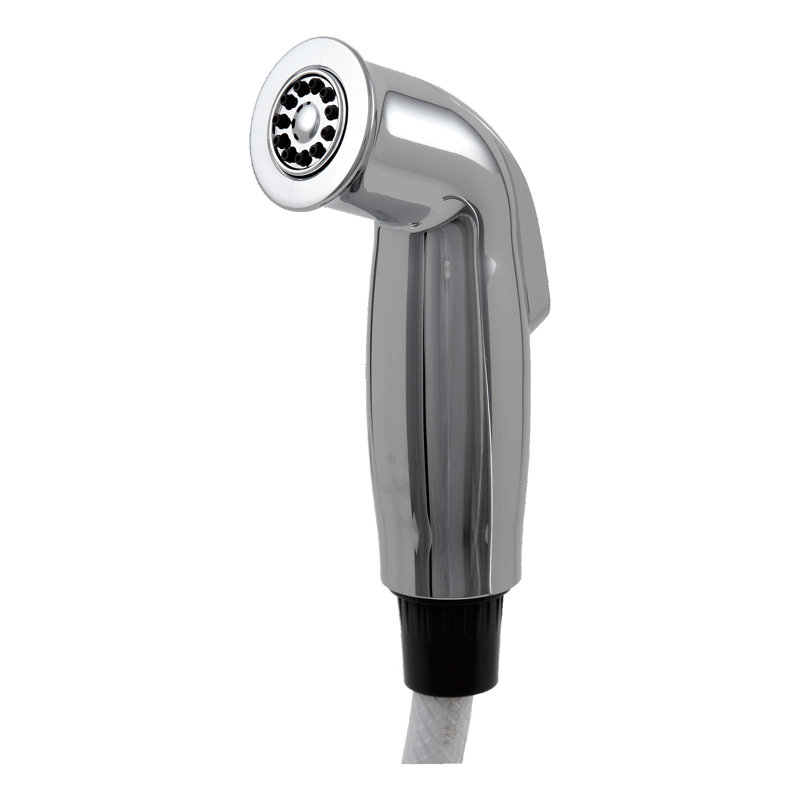Side Spray and Hose Assembly, Chrome