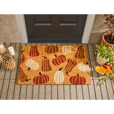 Non-Slip Indoor / Outdoor Doormat