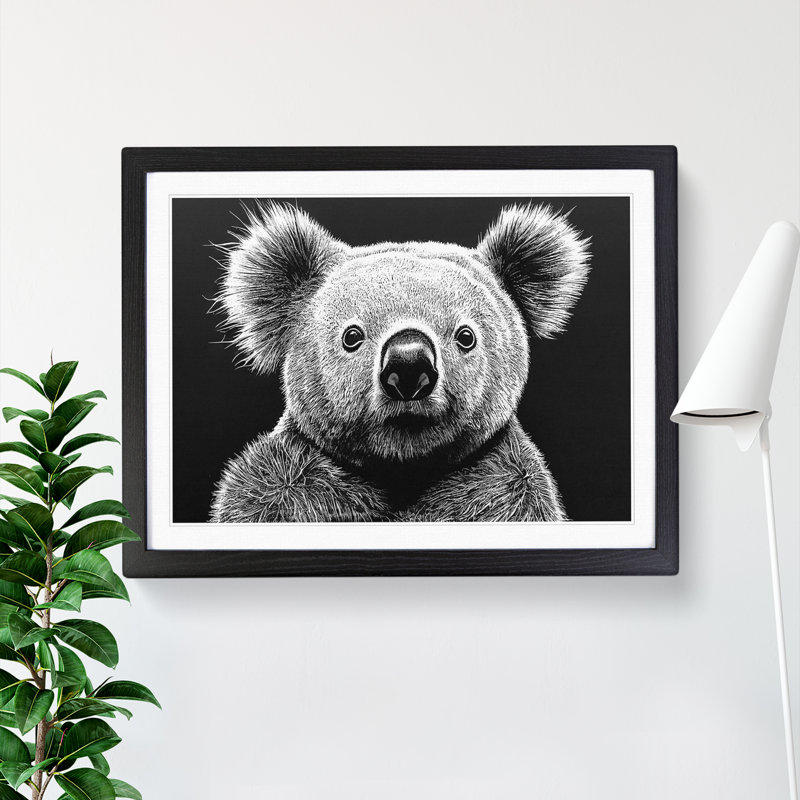 Koala Bear - Framed Print, Black Framed, 25cm H x 34cm W