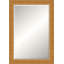 Alden Solid Wood Beveled Mirror-1800627346-1790138914