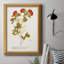 Toile encadrée de qualité supérieure Botanicals-1205242410