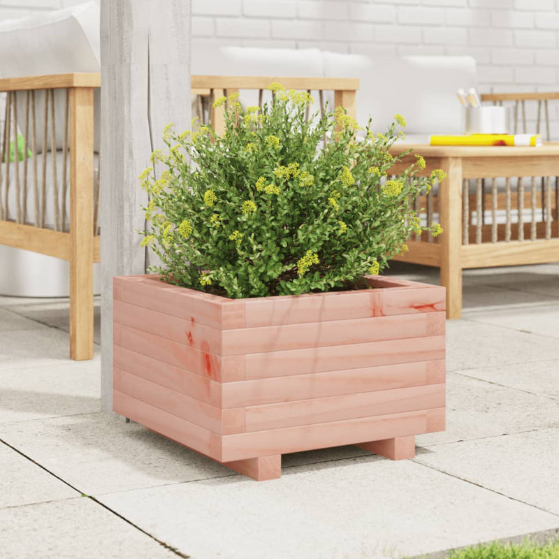 Bhavika Planter Box, 10.43" H x 15.75" W x 15.75" D, Douglas