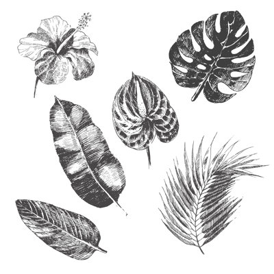 Vector Hand Drawn Tropical Plants And Exotic Flower - Palm by Overkoffeined - Wrapped Canvas Painting