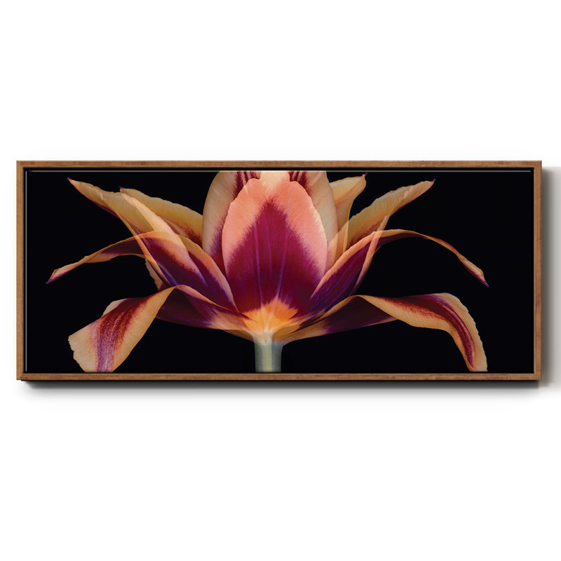 Red Tulip- Framed Canvas, 12" H x 30" W