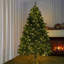 Anghelina Artificial Pine Christmas Tree-151456653-151456655