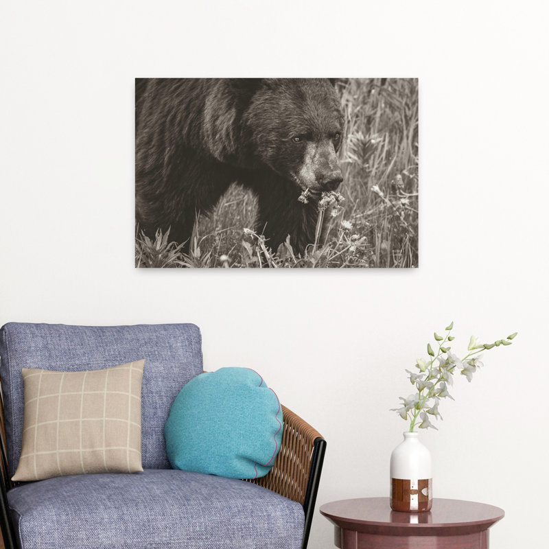 Contemporary Art Contemporary Bear Portrait Art 1 Piece Wrapped Canvas Wall Art, 40.64 cm H x 60.96 cm W