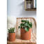 Jardinières en pot-71335357-71335361
