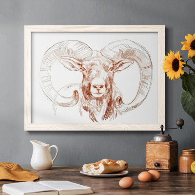 " Big Horn Sheep I "