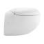 Plaisir® Dual-Flush Elongated Wall mounted (Seat Included)