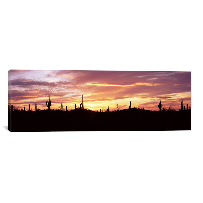 «Saguaro National Park, Tucson, Pima County, Arizona» par Panoramic Images - reproduction d'art sur toile tendue