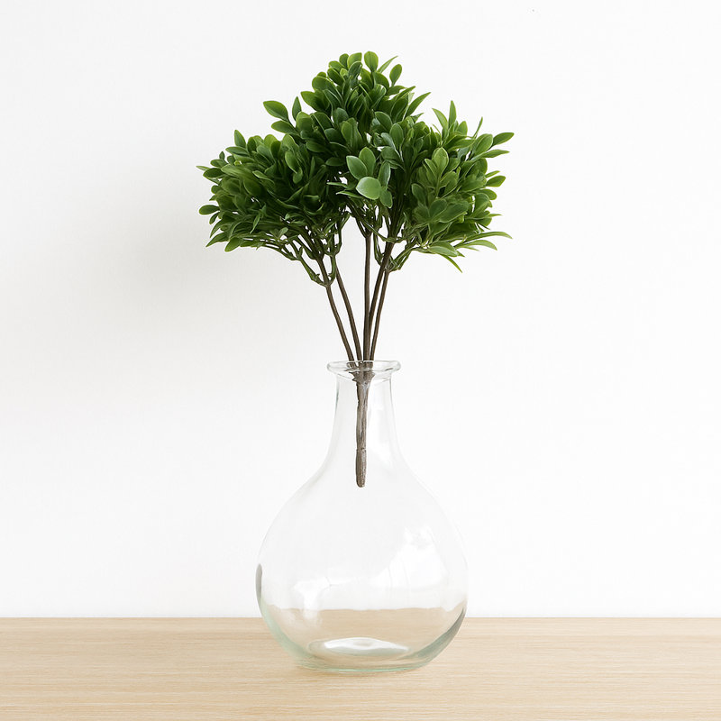 Boxwood Foliage Bush