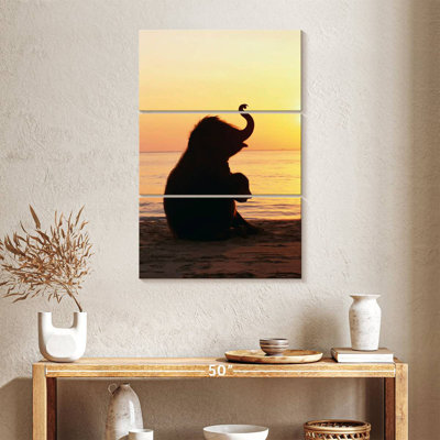Bébé éléphant Brampt Beach