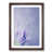 Walnut Framed selected